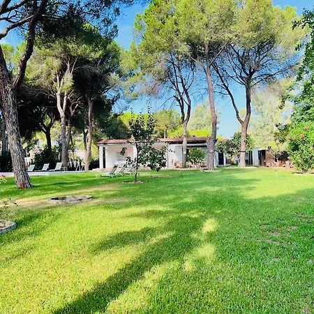 Vida Libre Tatil Evi