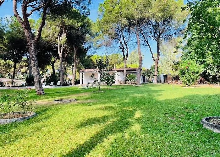 Vida Libre Tatil Evi